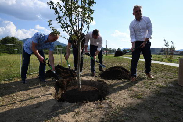 Zástupcovia spoločností Istrofinal, Stavizol, SLLA a mesta Kysucké Nové Mesto počas symbolického zasadenia stromu.